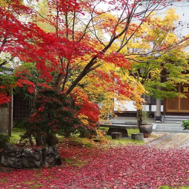 Honjoji Temple