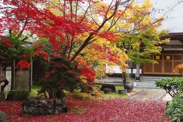 Honjoji Temple