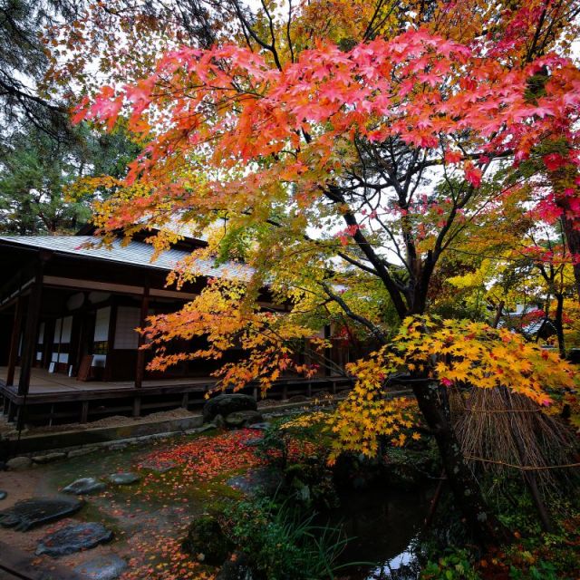 Shimizuen