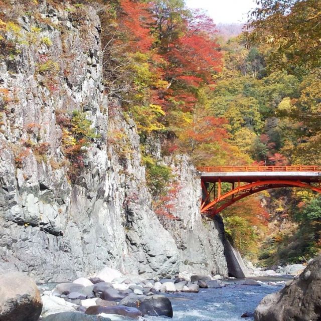 The Hidden Border Akiyamago