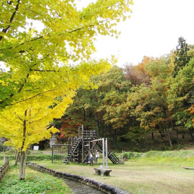Nakanosawa Valley Forest Park