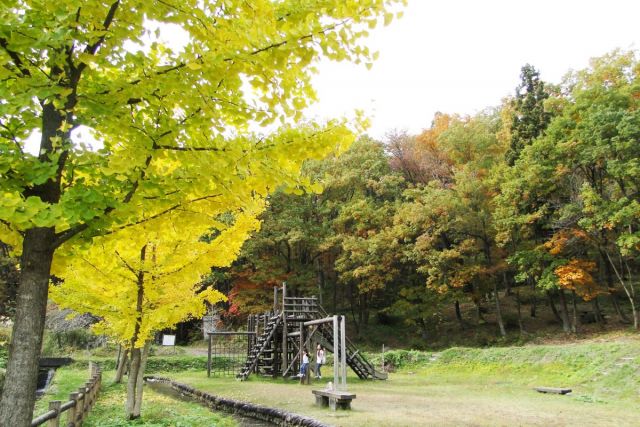 Nakanosawa Valley Forest Park