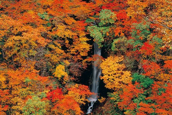 Hebifuchi Fall