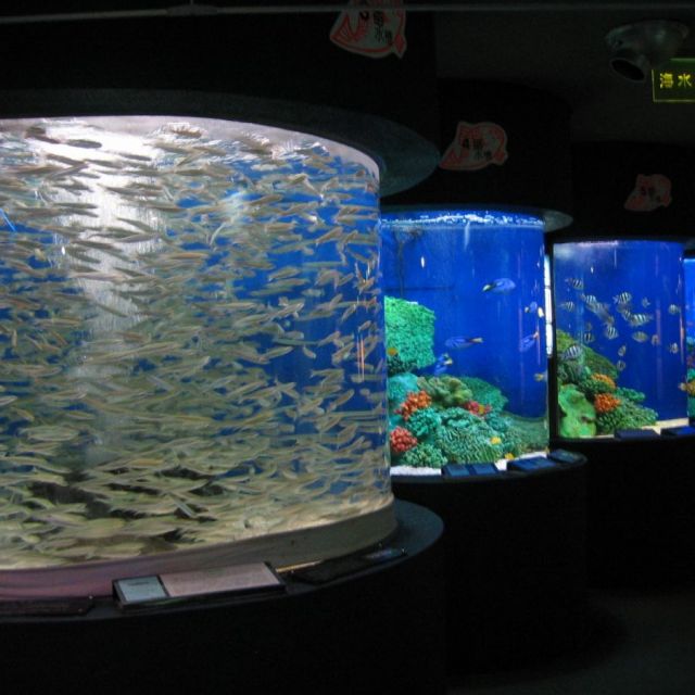 Teradomari Aquarium