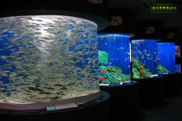 Teradomari Aquarium