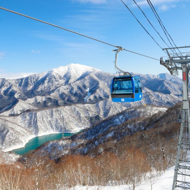 苗場滑雪場
