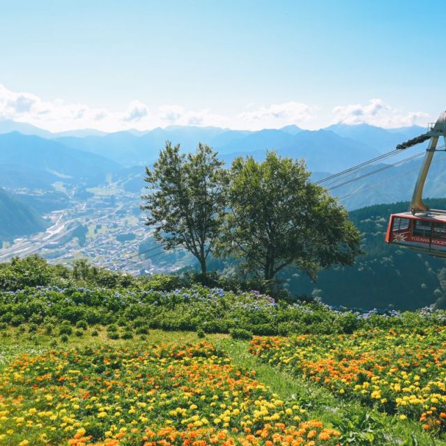 Yuzawa Kogen Ropeway/Alpine Plant Garden, Alp no Sato