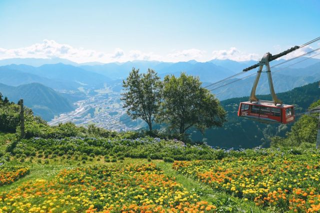 Yuzawa Kogen Ropeway/Alpine Plant Garden, Alp no Sato