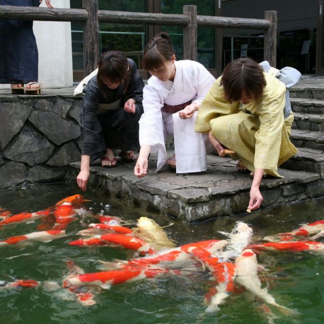 小千谷市錦鯉之里