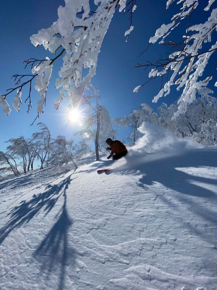 LOTTE ARAI RESORT 1日エコノミーチケット 154803-1-