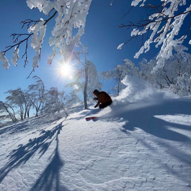 樂天新井渡假村滑雪場