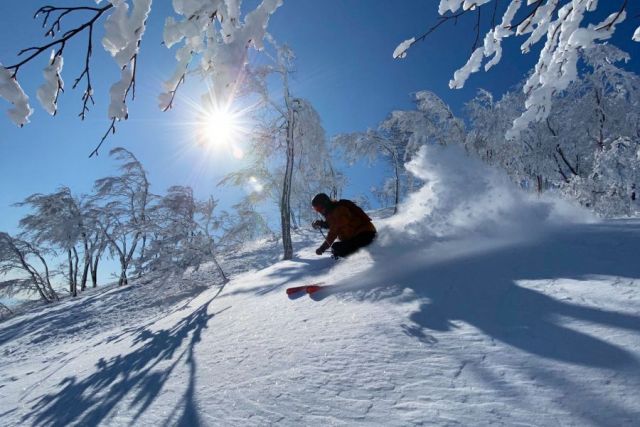 樂天新井渡假村滑雪場