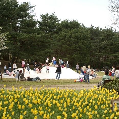 Niigata Kenritsu Shiunji Memorial Park