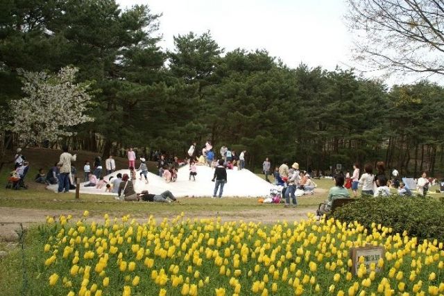 Niigata Kenritsu Shiunji Memorial Park