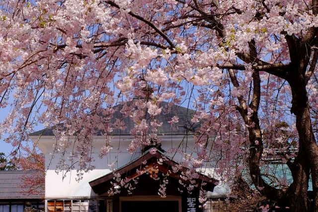 Jokoji Temple