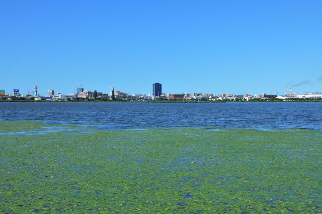 Toyanogata Lagoon