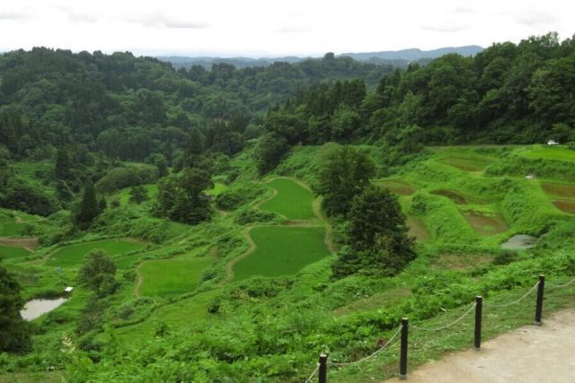 Kamo Rice Terraces