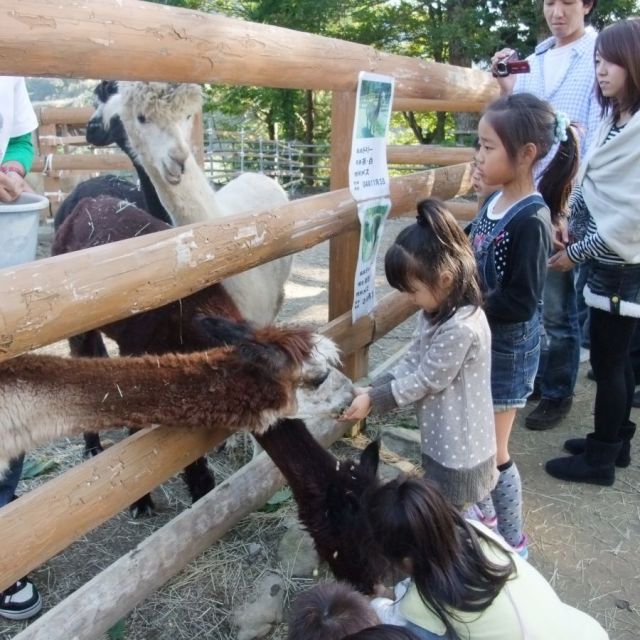 Yamakoshi Alpaca Farm