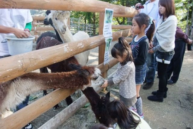 Yamakoshi Alpaca Farm