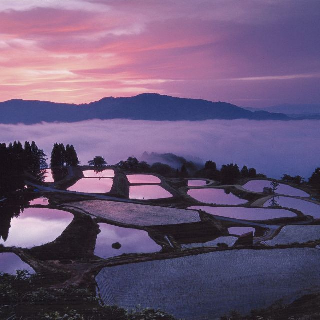 Yamakoshi Rice Terraces 