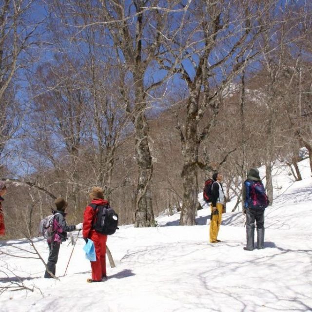 Enjoy soothing hot springs and all kinds of activities! A photogenic journey through the winter landscapes of Yuzawa and Uonuma