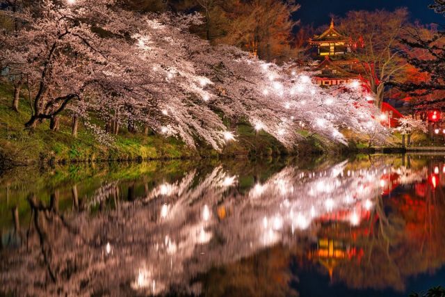 高田城址公園