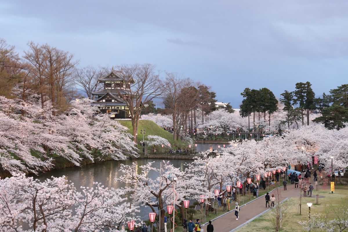 Takada Cherry Blossom Festival  Travel Japan - Japan National