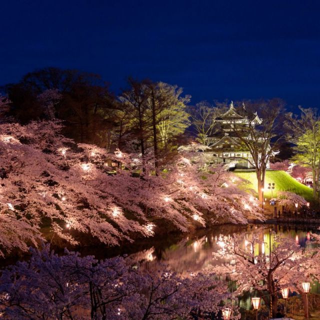 Takada Castle Site Park Cherry Blossom Festival