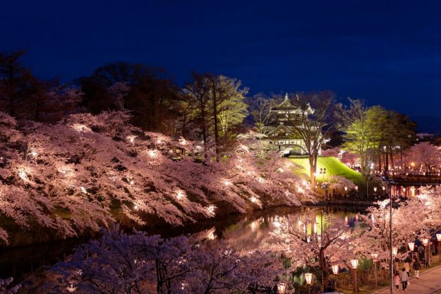 เทศกาลชมซากุระของสวนสาธารณะ Takada Joshi