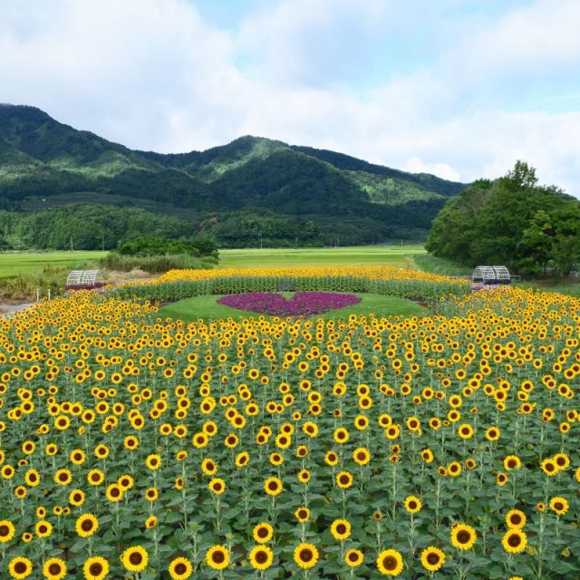 สวนสาธารณะ Uwasekigata