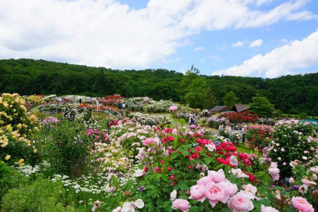 Echigo Hillside Park