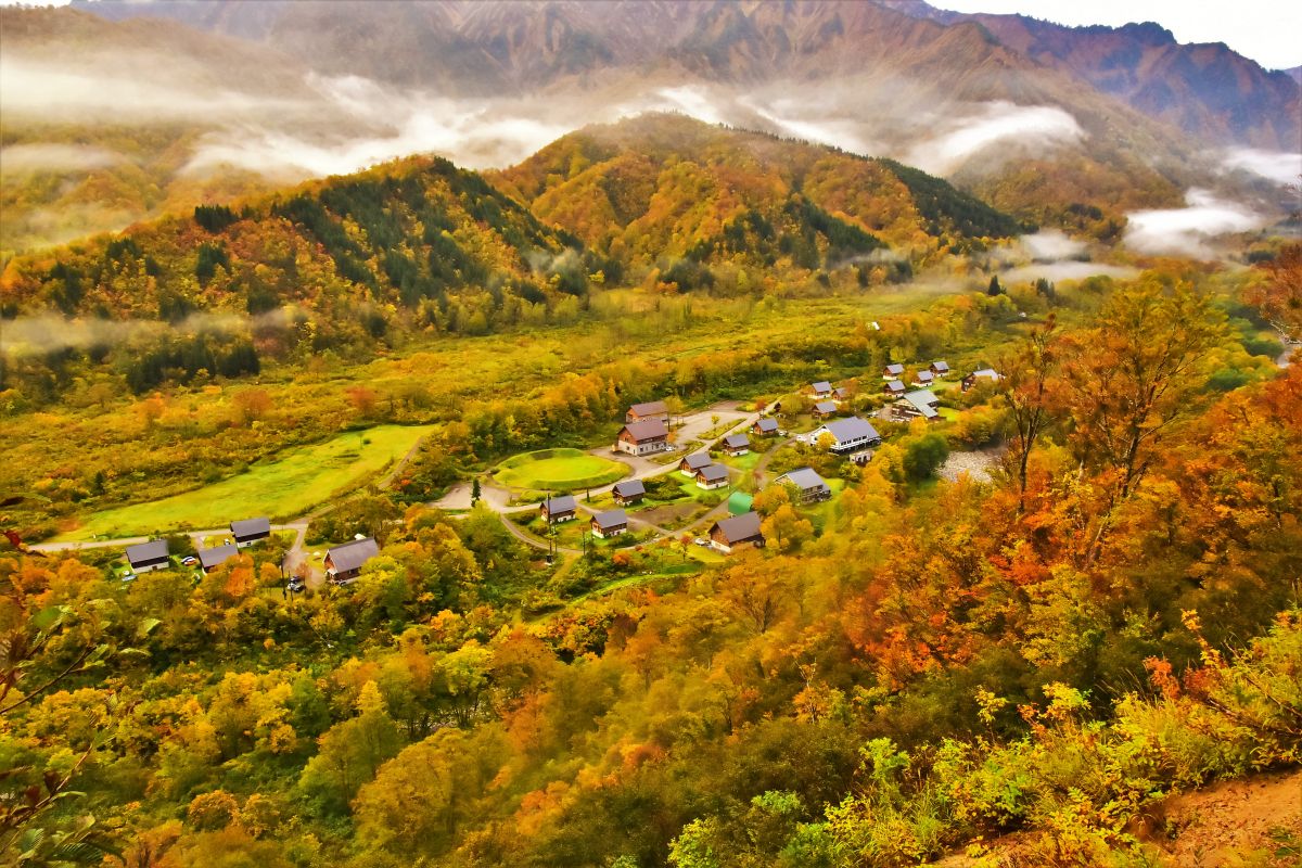 枝折峠｜观光｜Enjoy 新潟