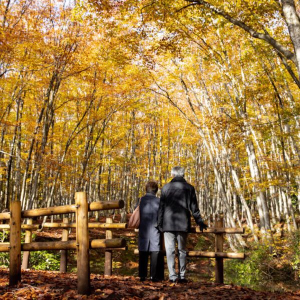 Bijinbayashi Forest