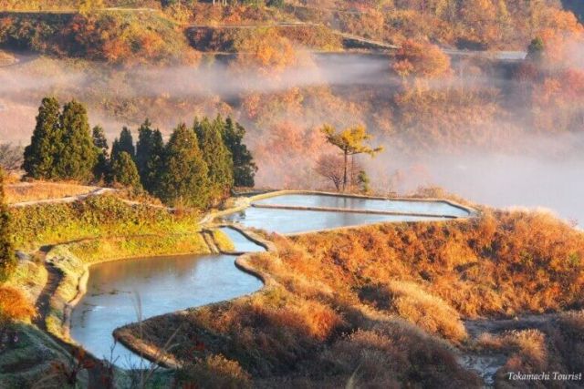 越後松代梯田群 星峠梯田