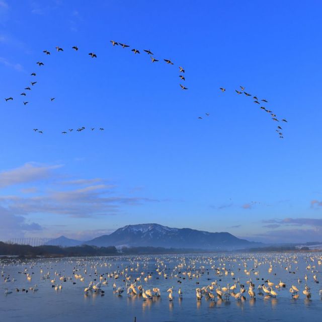 Sakata Park
