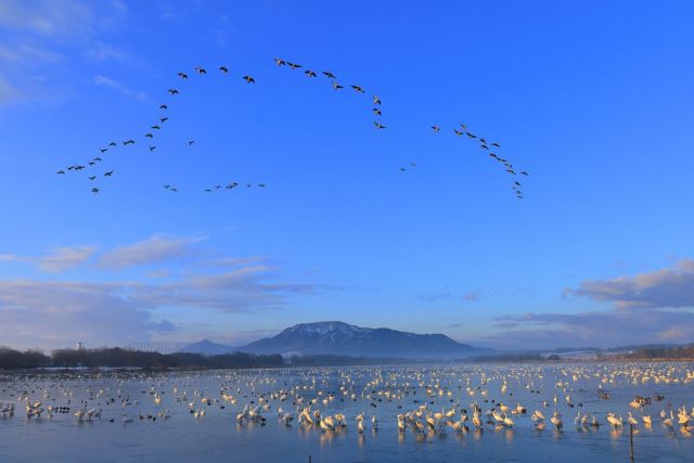 Sakata Park