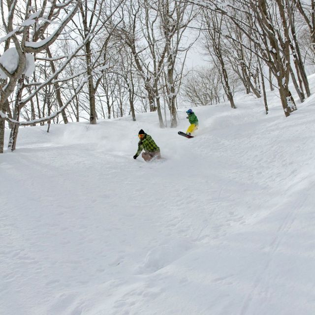 Cupid Valley Ski Resort