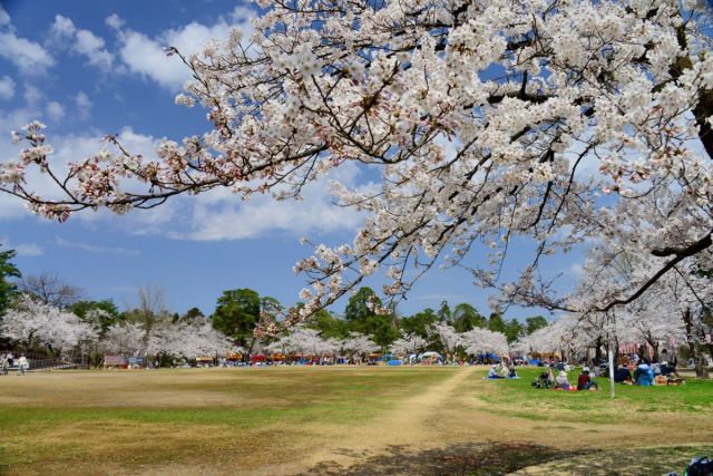 悠久山公園