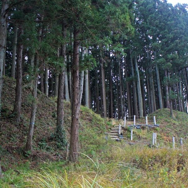 Hirabayashi Castle
