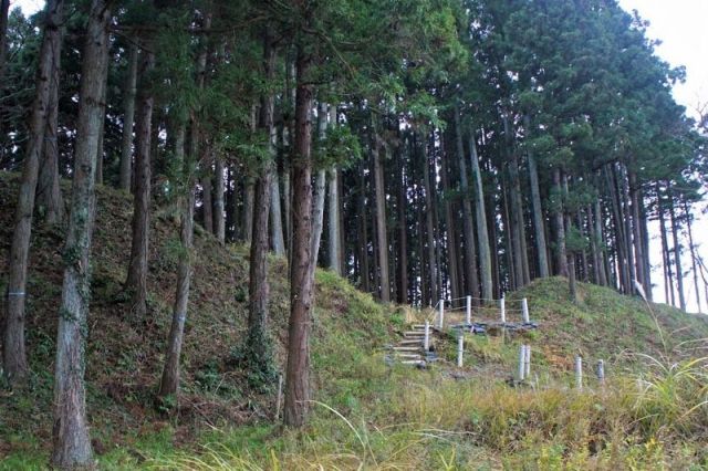 Hirabayashi Castle