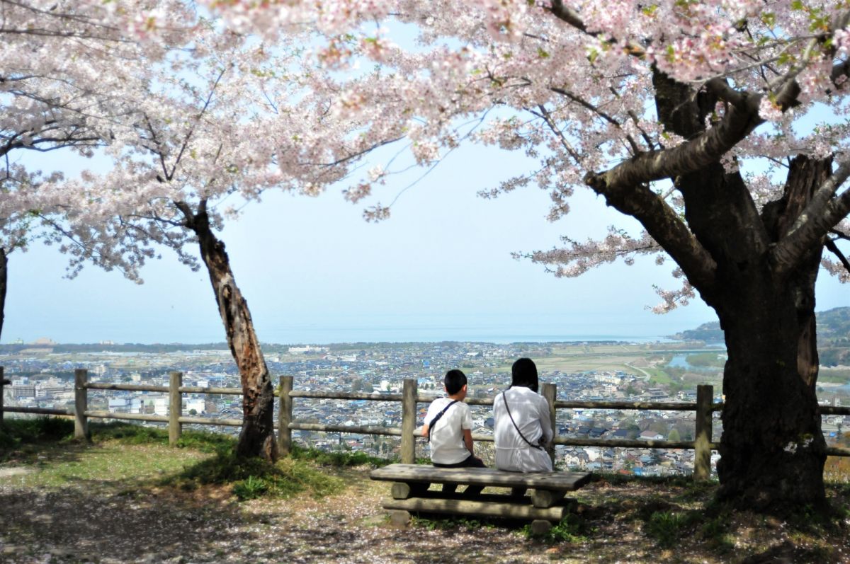 The Ruins of Murakami Castle｜What to See & Do｜Enjoy Niigata