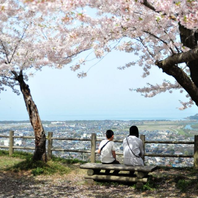 The Ruins of Murakami Castle