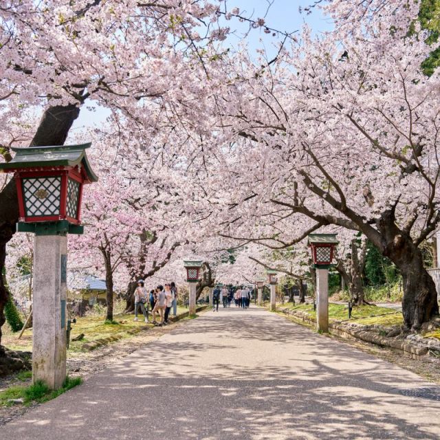 Yahiko Park