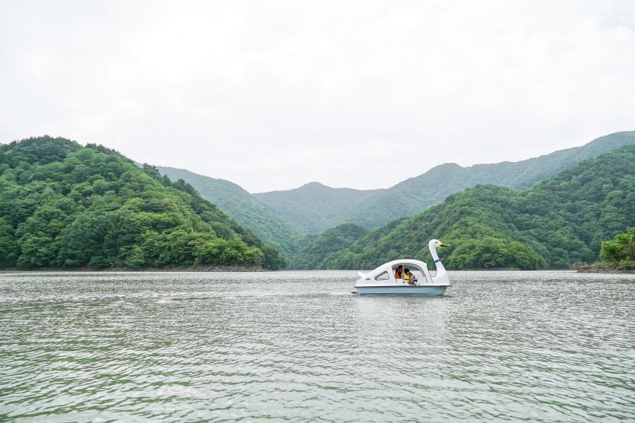 Futakojima Forest Park Campsite What To See Do Enjoy Niigata