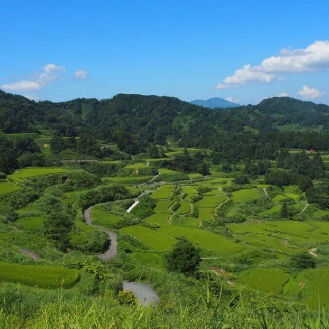 越後松代梯田群 星峠梯田
