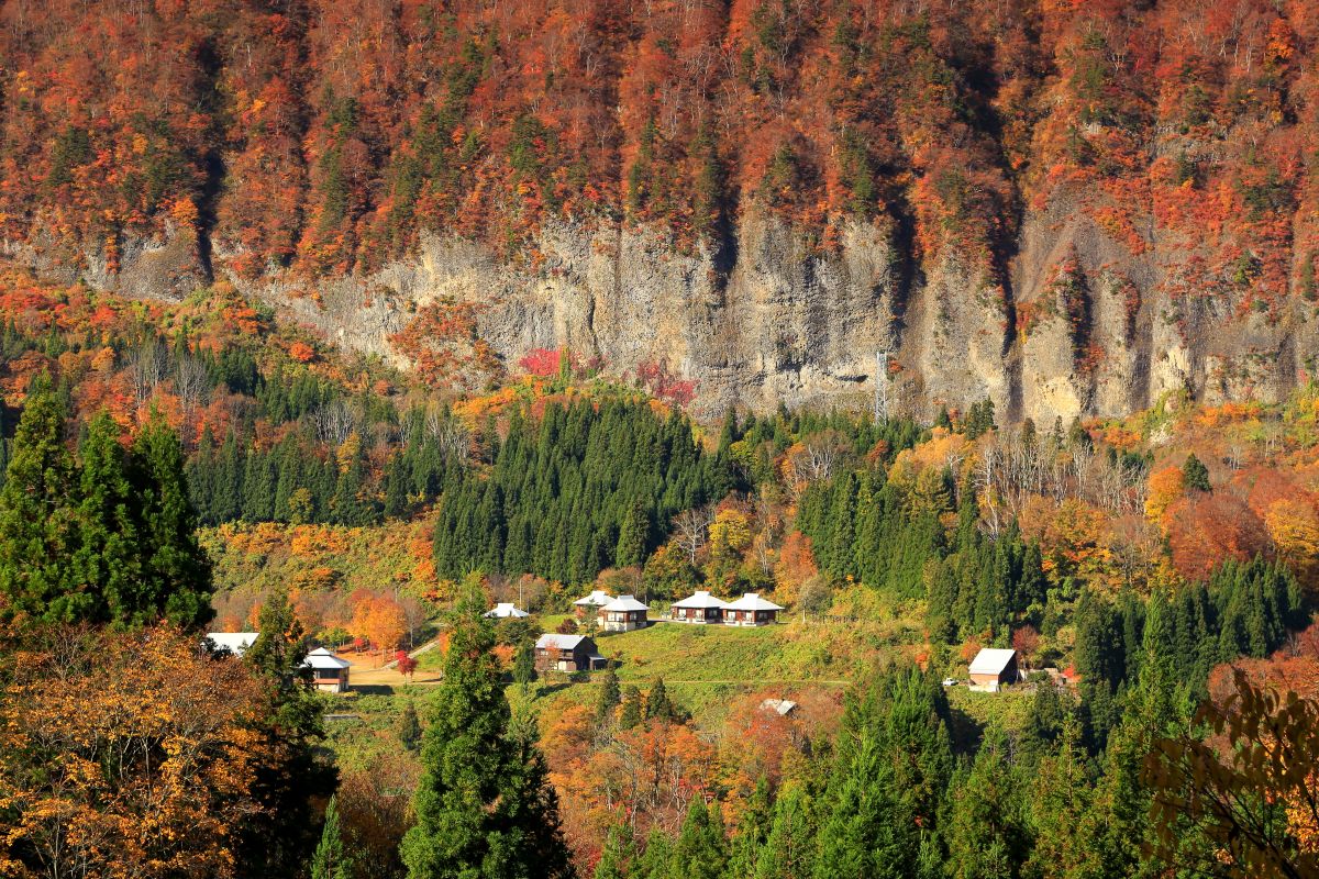 秘境秋山鄉｜精彩景點&活動｜暢享新潟