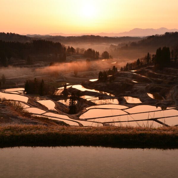 Hoshitoge Rice Terraces