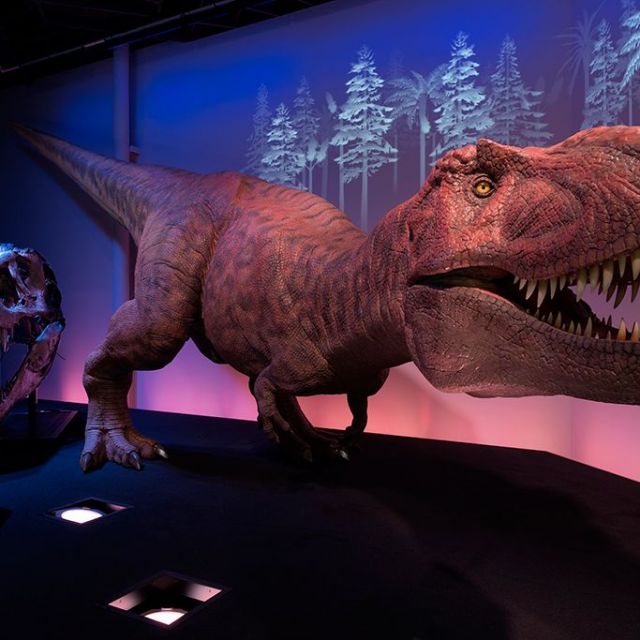 Joetsu Science Museum