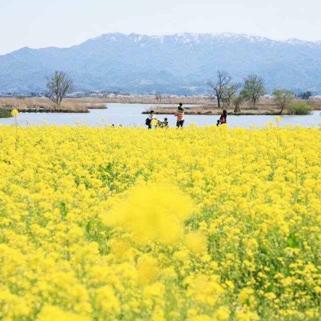 Fukushimagata Lagoon