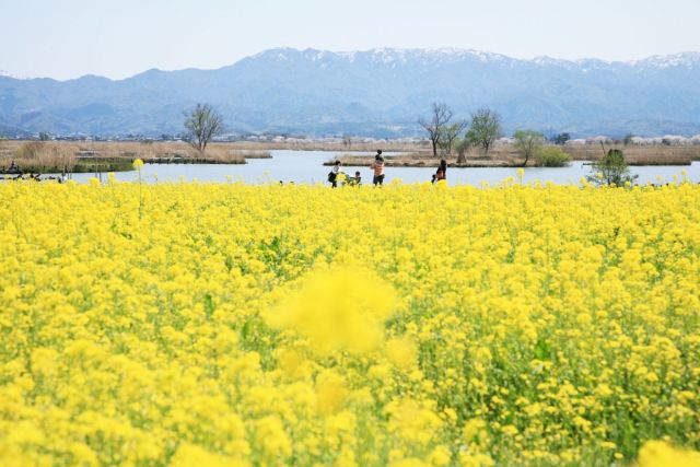 Fukushimagata Lagoon